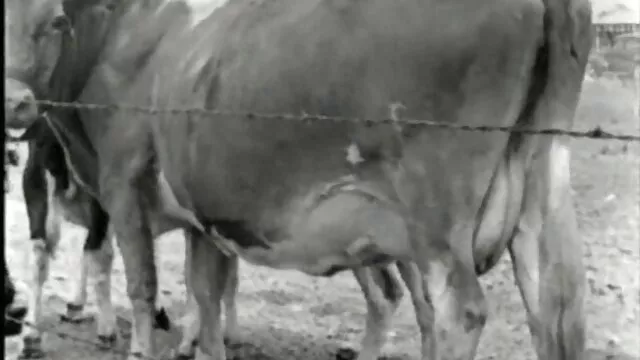 Một người phụ nữ cởi quần, đôi phim sex nhat ban 2018 môi lớn.