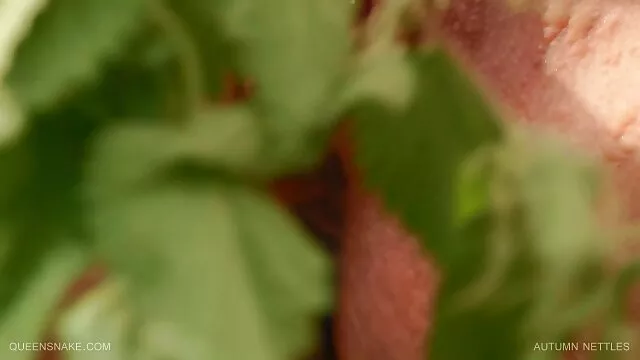 Tình dục là rất phim xes nhat ban lớn tan vỡ đen